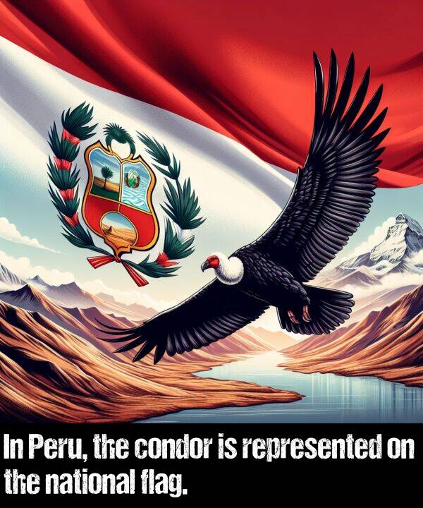 national: In Peru, the condor is represented on the national flag.