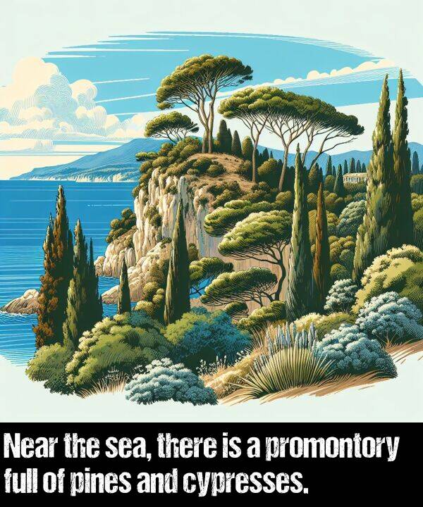 there: Near the sea, there is a promontory full of pines and cypresses.