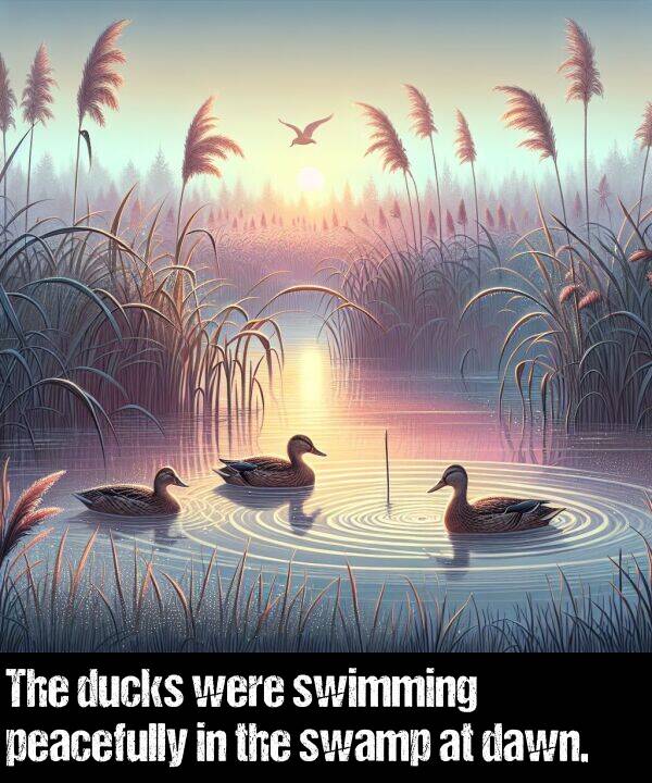 were: The ducks were swimming peacefully in the swamp at dawn.