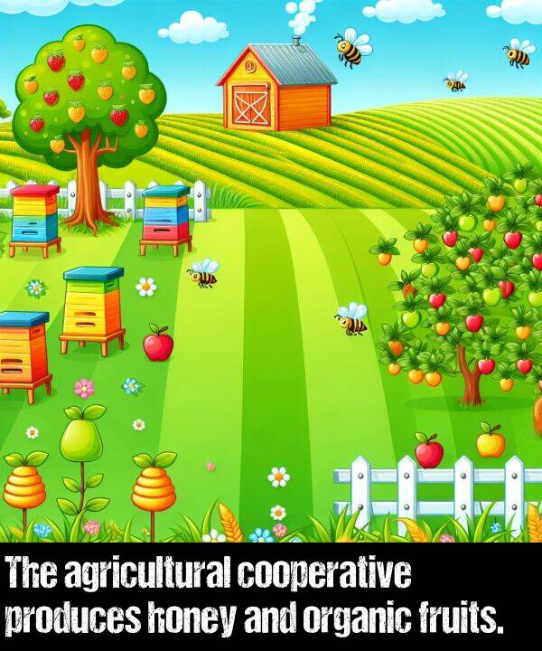 produces: The agricultural cooperative produces honey and organic fruits.