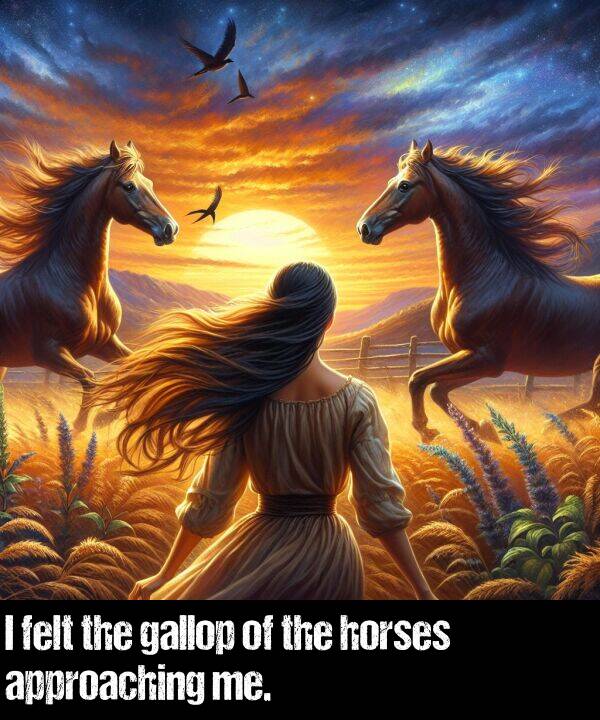 gallop: I felt the gallop of the horses approaching me.