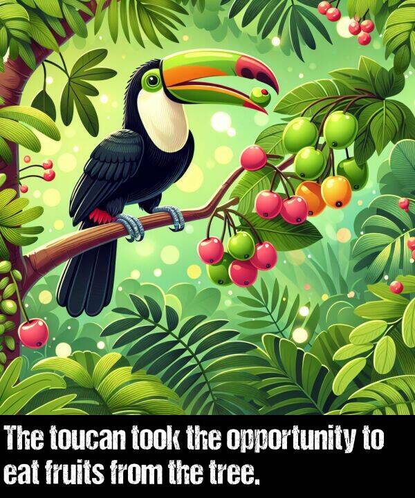 toucan: The toucan took the opportunity to eat fruits from the tree.