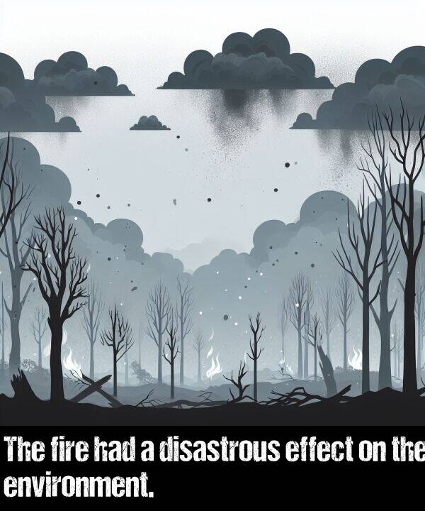 had: The fire had a disastrous effect on the environment.