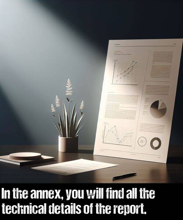 technical: In the annex, you will find all the technical details of the report.