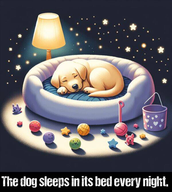 bed: The dog sleeps in its bed every night.