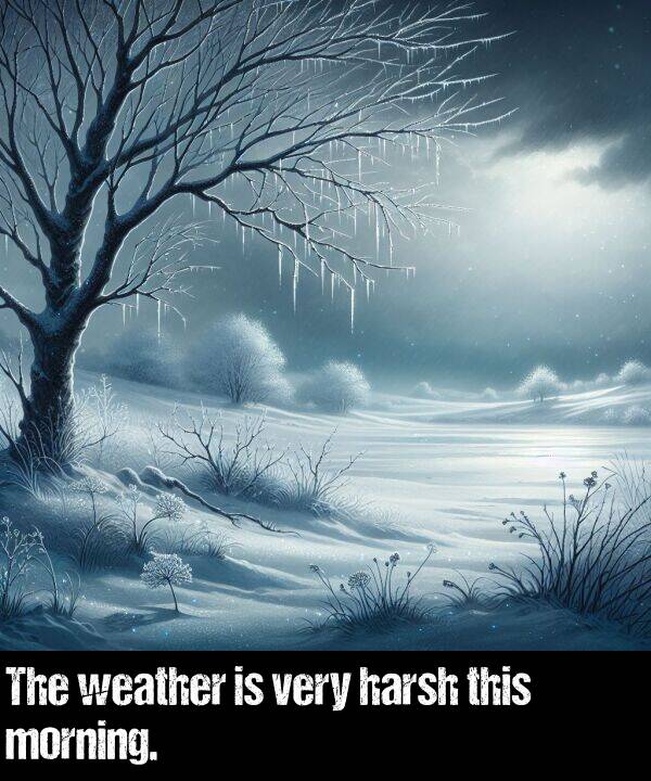 very: The weather is very harsh this morning.