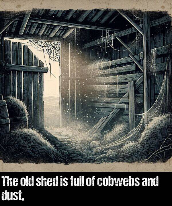 cobwebs: The old shed is full of cobwebs and dust.