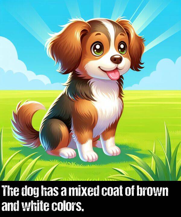 brown: The dog has a mixed coat of brown and white colors.