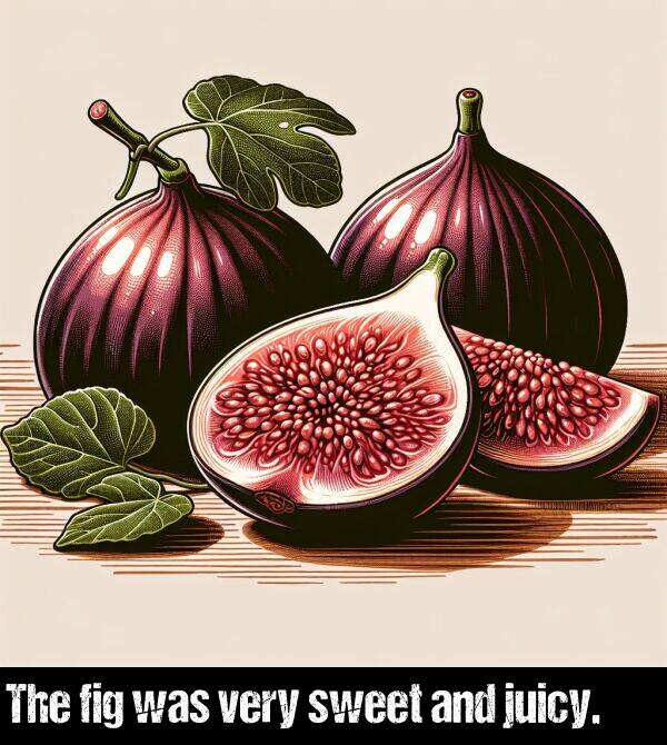 very: The fig was very sweet and juicy.