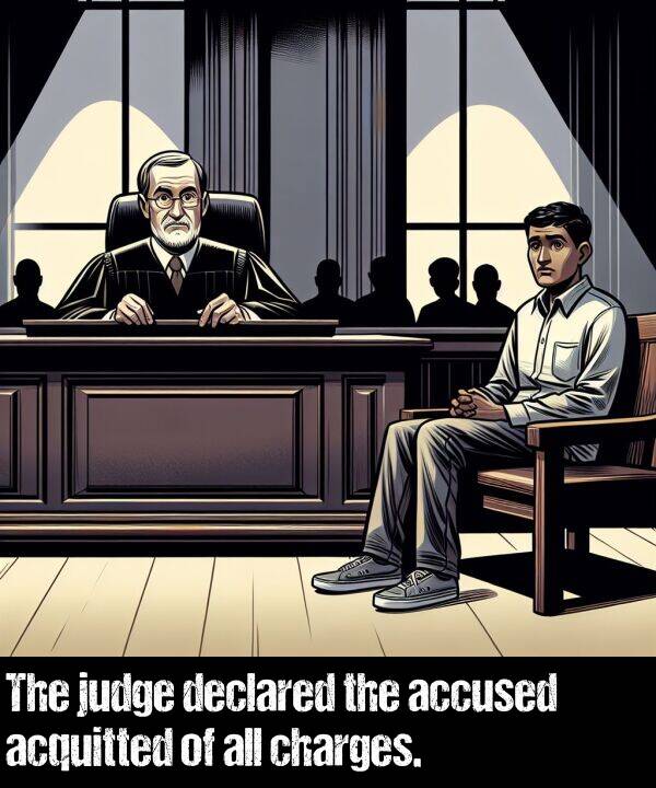 accused: The judge declared the accused acquitted of all charges.