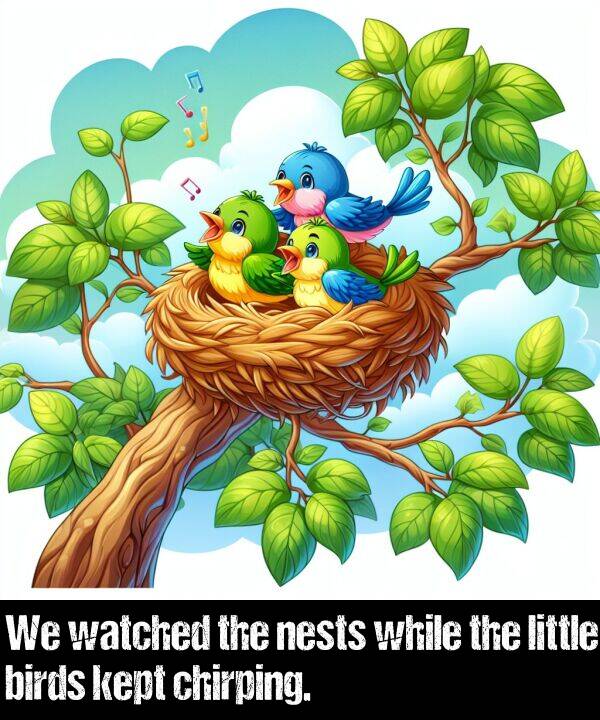 birds: We watched the nests while the little birds kept chirping.