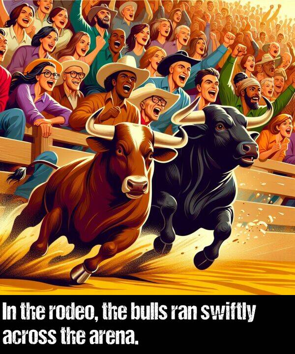 bulls: In the rodeo, the bulls ran swiftly across the arena.