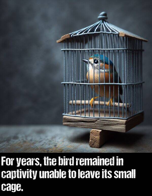 leave: For years, the bird remained in captivity unable to leave its small cage.