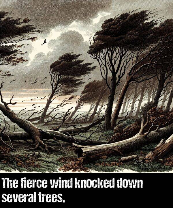 knocked: The fierce wind knocked down several trees.
