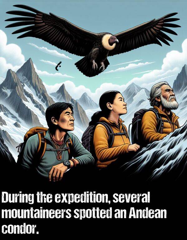 mountaineers: During the expedition, several mountaineers spotted an Andean condor.