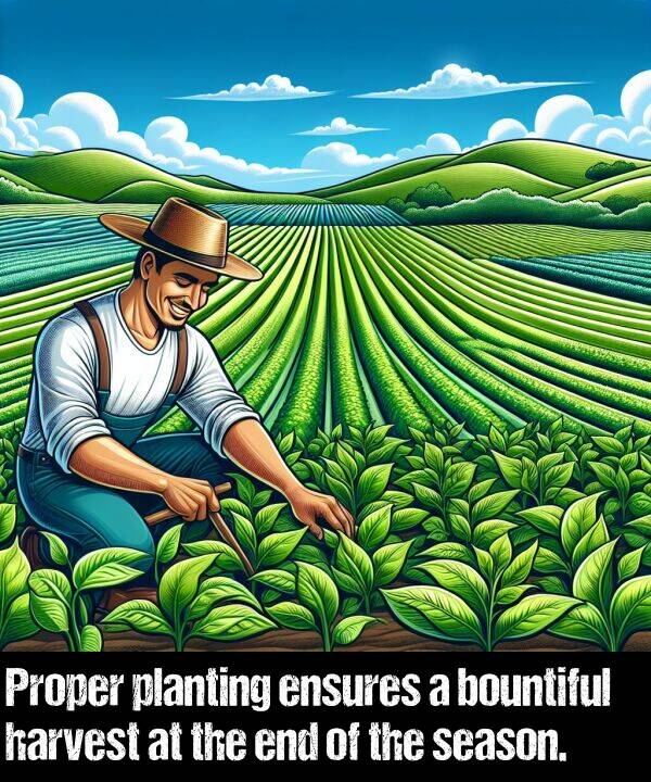 harvest: Proper planting ensures a bountiful harvest at the end of the season.