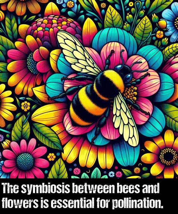bees: The symbiosis between bees and flowers is essential for pollination.