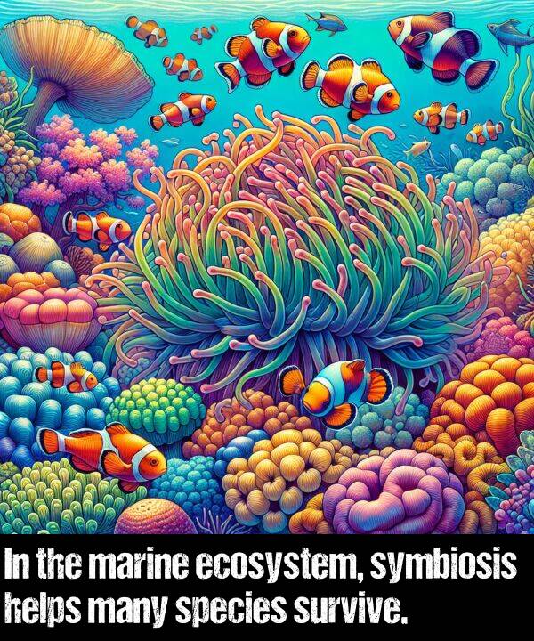 many: In the marine ecosystem, symbiosis helps many species survive.