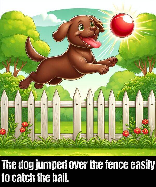 ball: The dog jumped over the fence easily to catch the ball.