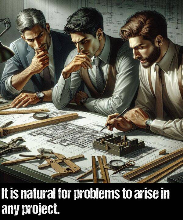 natural: It is natural for problems to arise in any project.