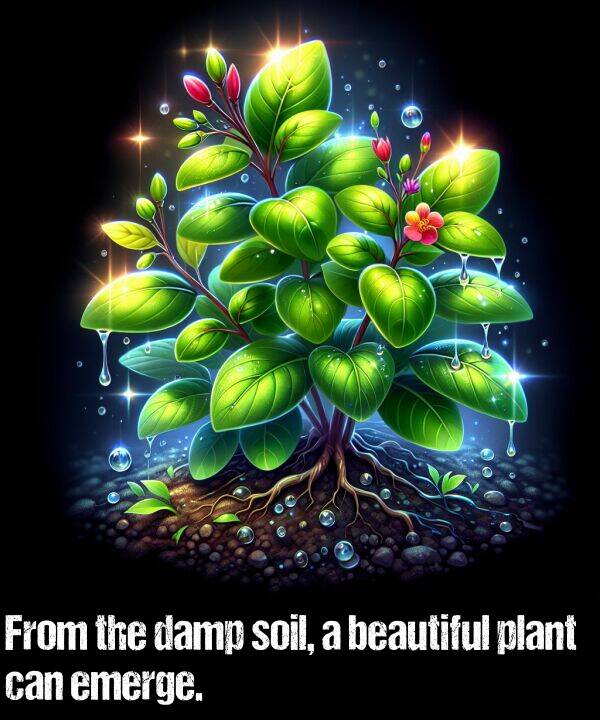 beautiful: From the damp soil, a beautiful plant can emerge.