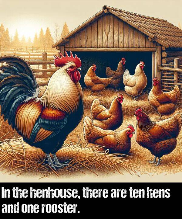 one: In the henhouse, there are ten hens and one rooster.
