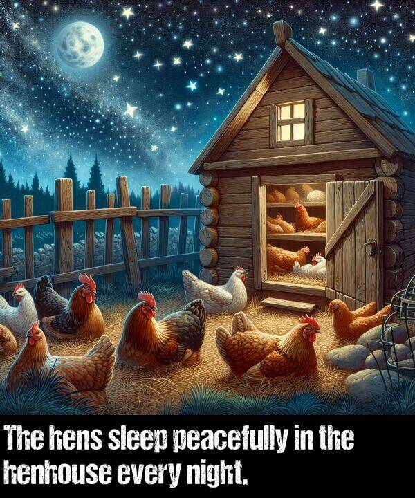 night: The hens sleep peacefully in the henhouse every night.