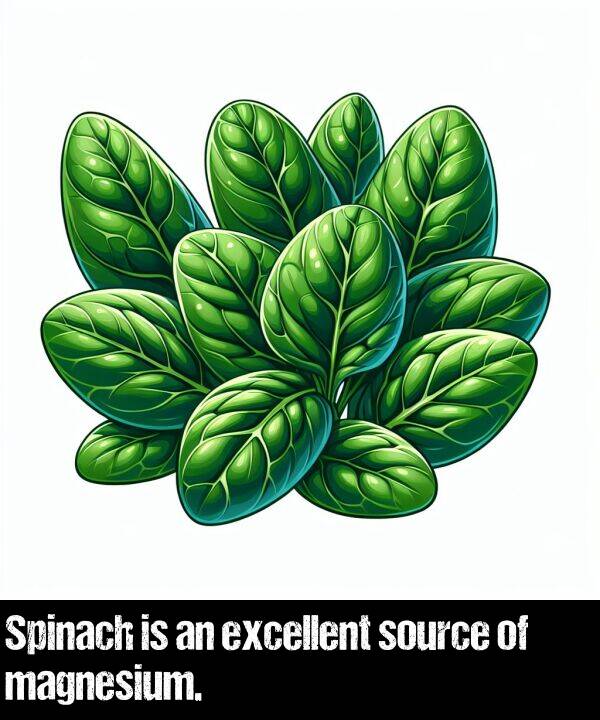magnesium: Spinach is an excellent source of magnesium.