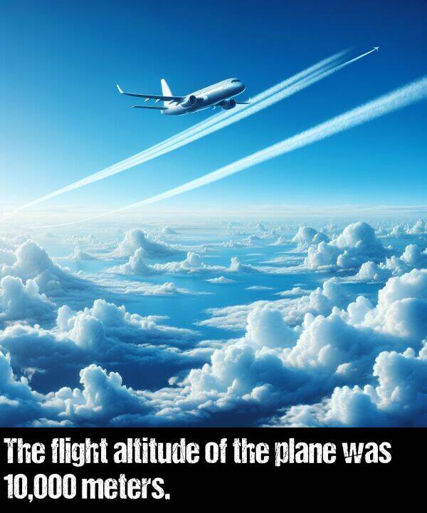 flight: The flight altitude of the plane was 10,000 meters.