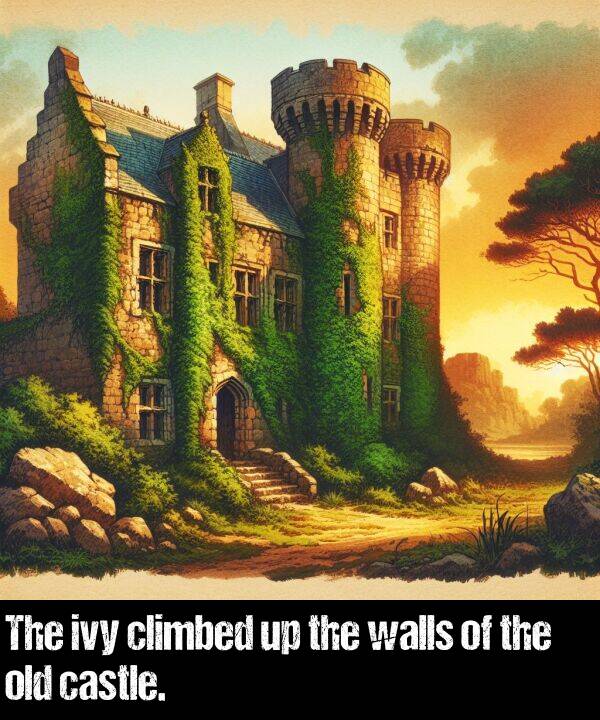 old: The ivy climbed up the walls of the old castle.