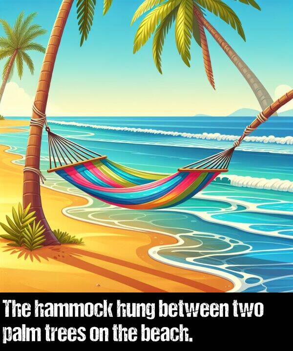 beach: The hammock hung between two palm trees on the beach.
