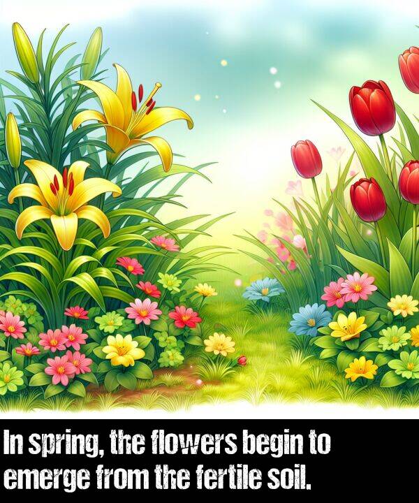 fertile: In spring, the flowers begin to emerge from the fertile soil.