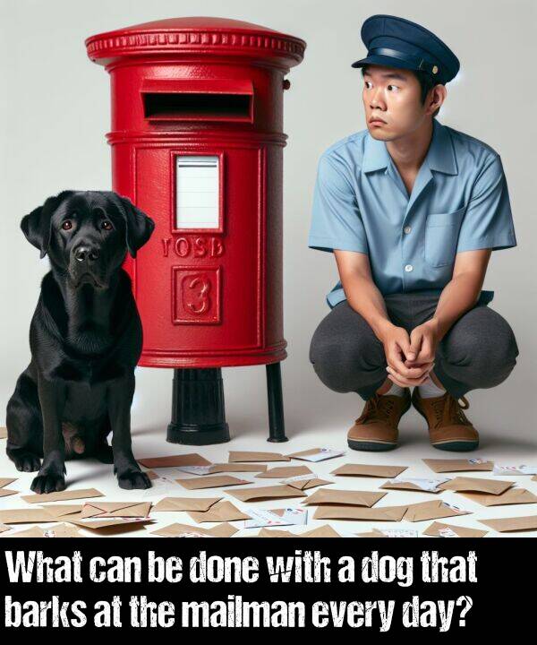 done: What can be done with a dog that barks at the mailman every day?