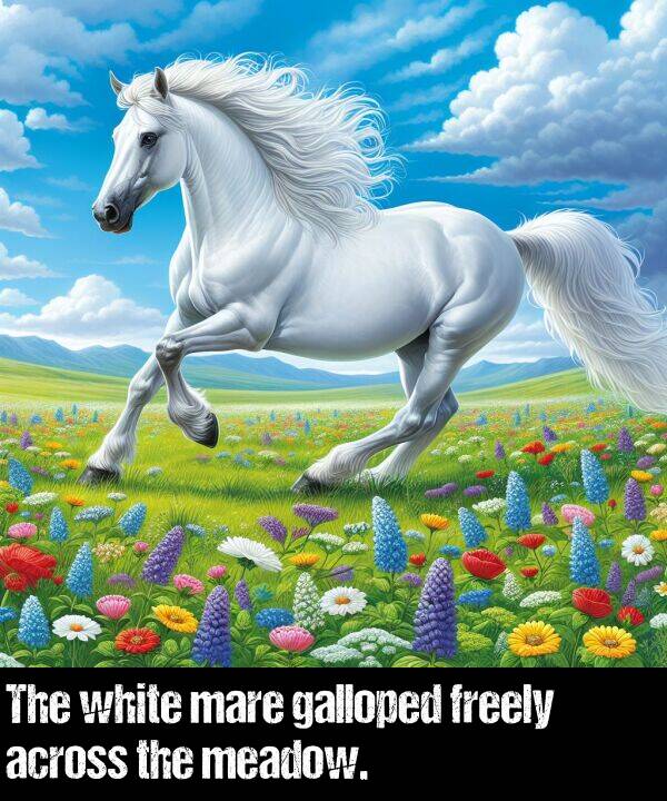 white: The white mare galloped freely across the meadow.