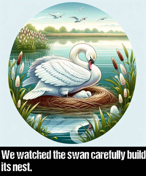 carefully: We watched the swan carefully build its nest.