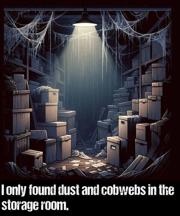cobwebs: I only found dust and cobwebs in the storage room.