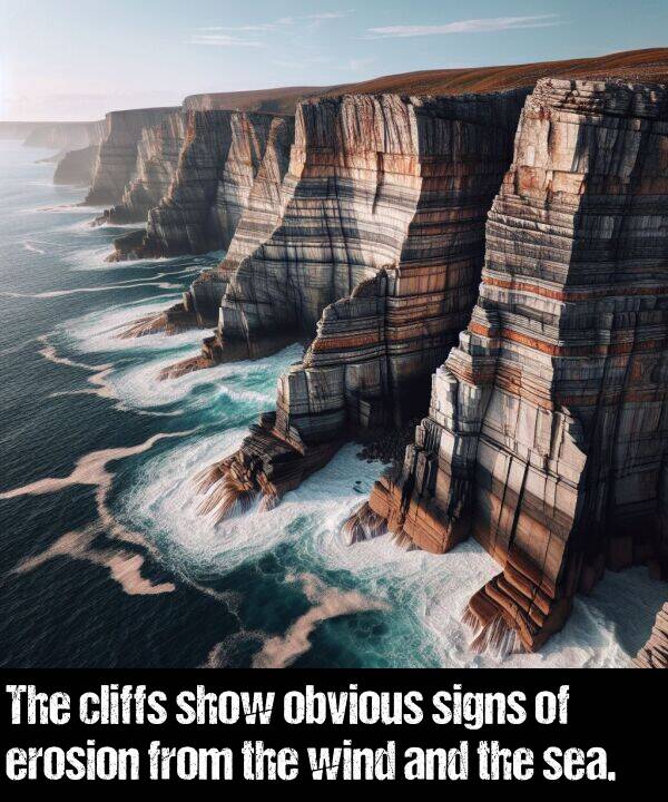 obvious: The cliffs show obvious signs of erosion from the wind and the sea.