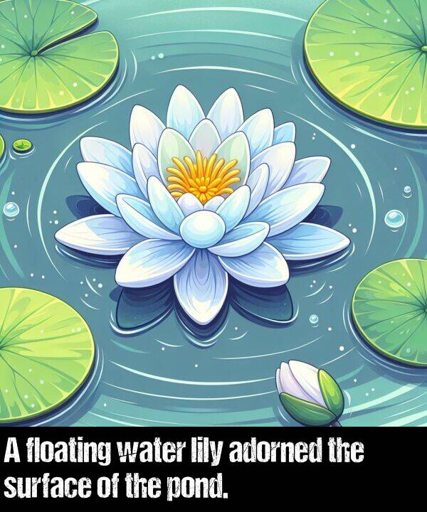 water: A floating water lily adorned the surface of the pond.