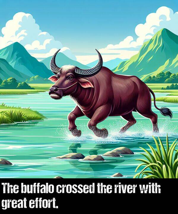 river: The buffalo crossed the river with great effort.
