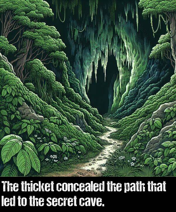 led: The thicket concealed the path that led to the secret cave.