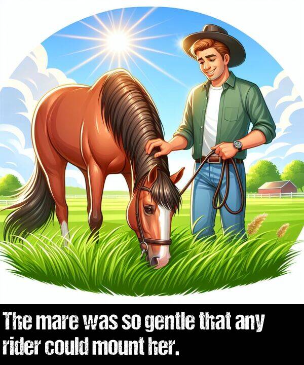 mare: The mare was so gentle that any rider could mount her.