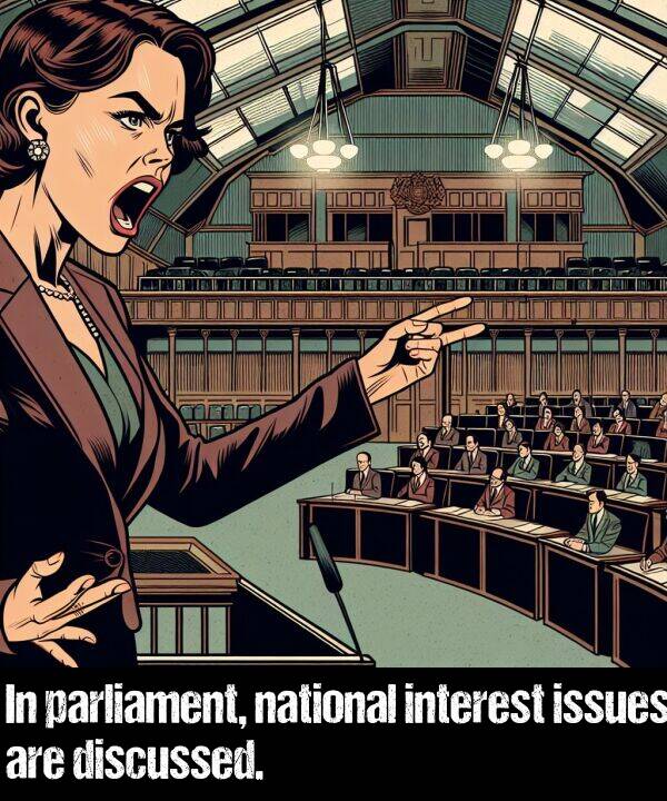 interest: In parliament, national interest issues are discussed.