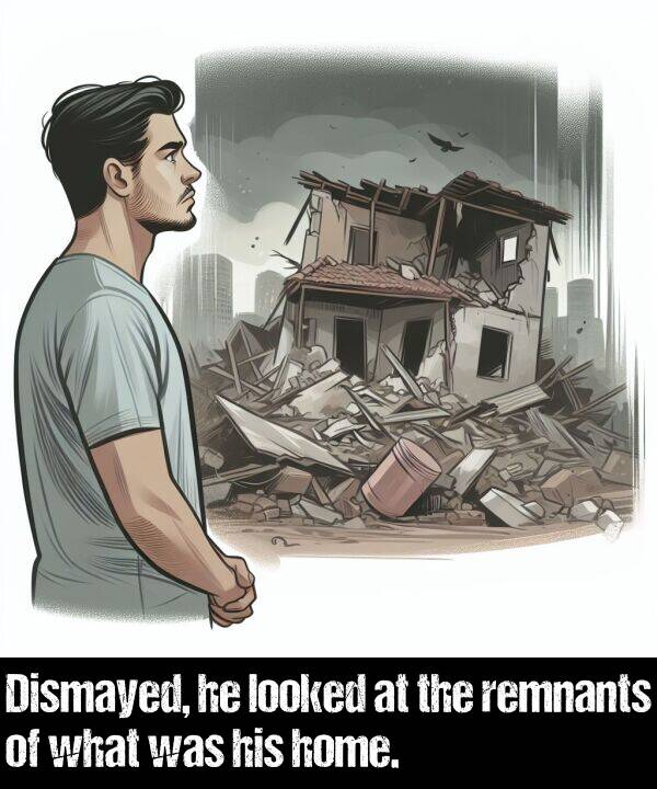 looked: Dismayed, he looked at the remnants of what was his home.