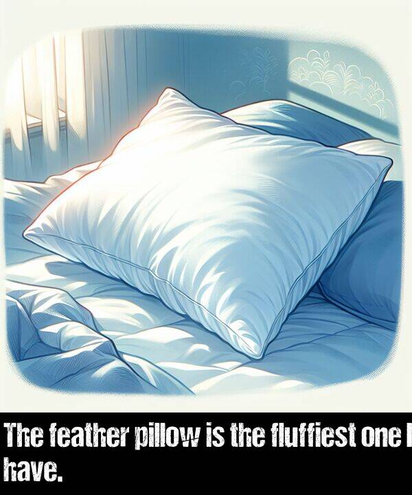 one: The feather pillow is the fluffiest one I have.