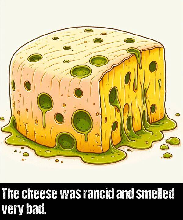 very: The cheese was rancid and smelled very bad.