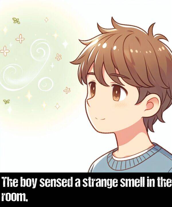 boy: The boy sensed a strange smell in the room.
