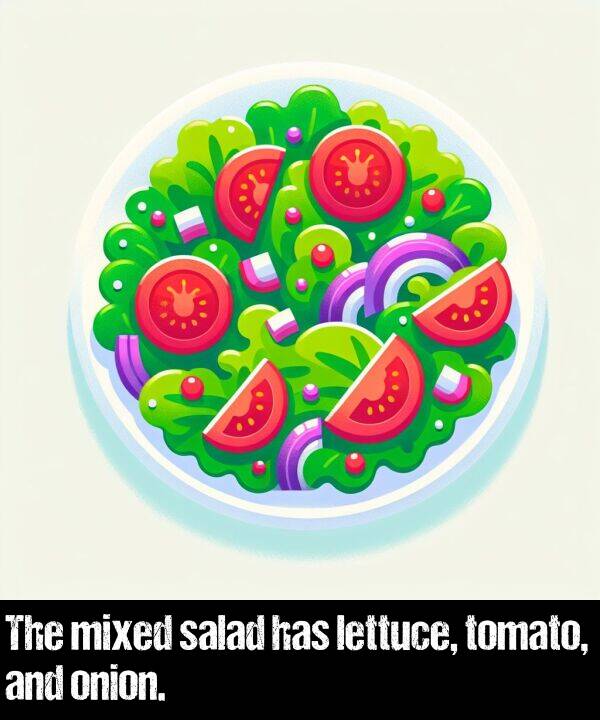 lettuce: The mixed salad has lettuce, tomato, and onion.