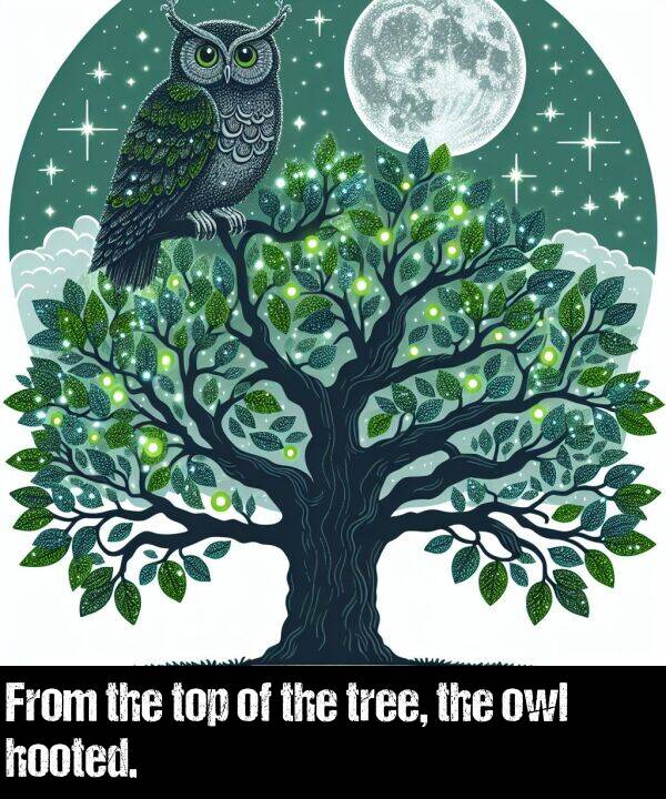 top: From the top of the tree, the owl hooted.