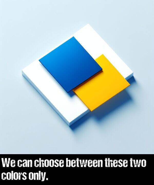 only: We can choose between these two colors only.
