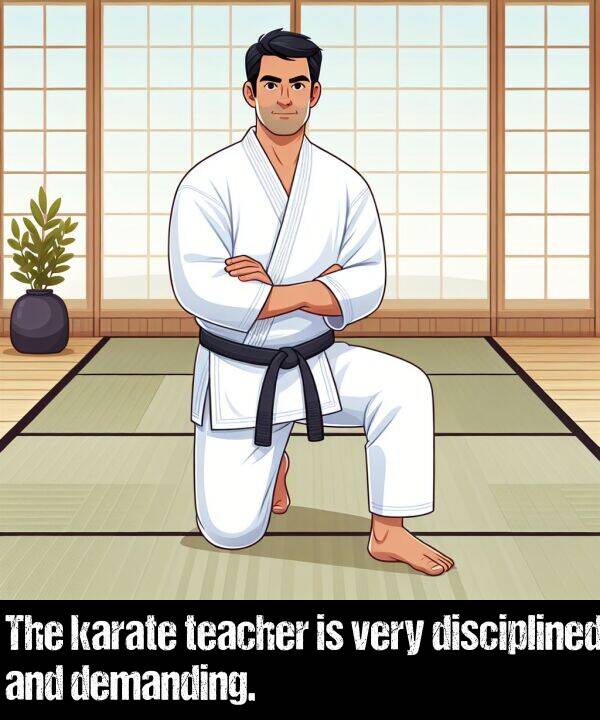teacher: The karate teacher is very disciplined and demanding.